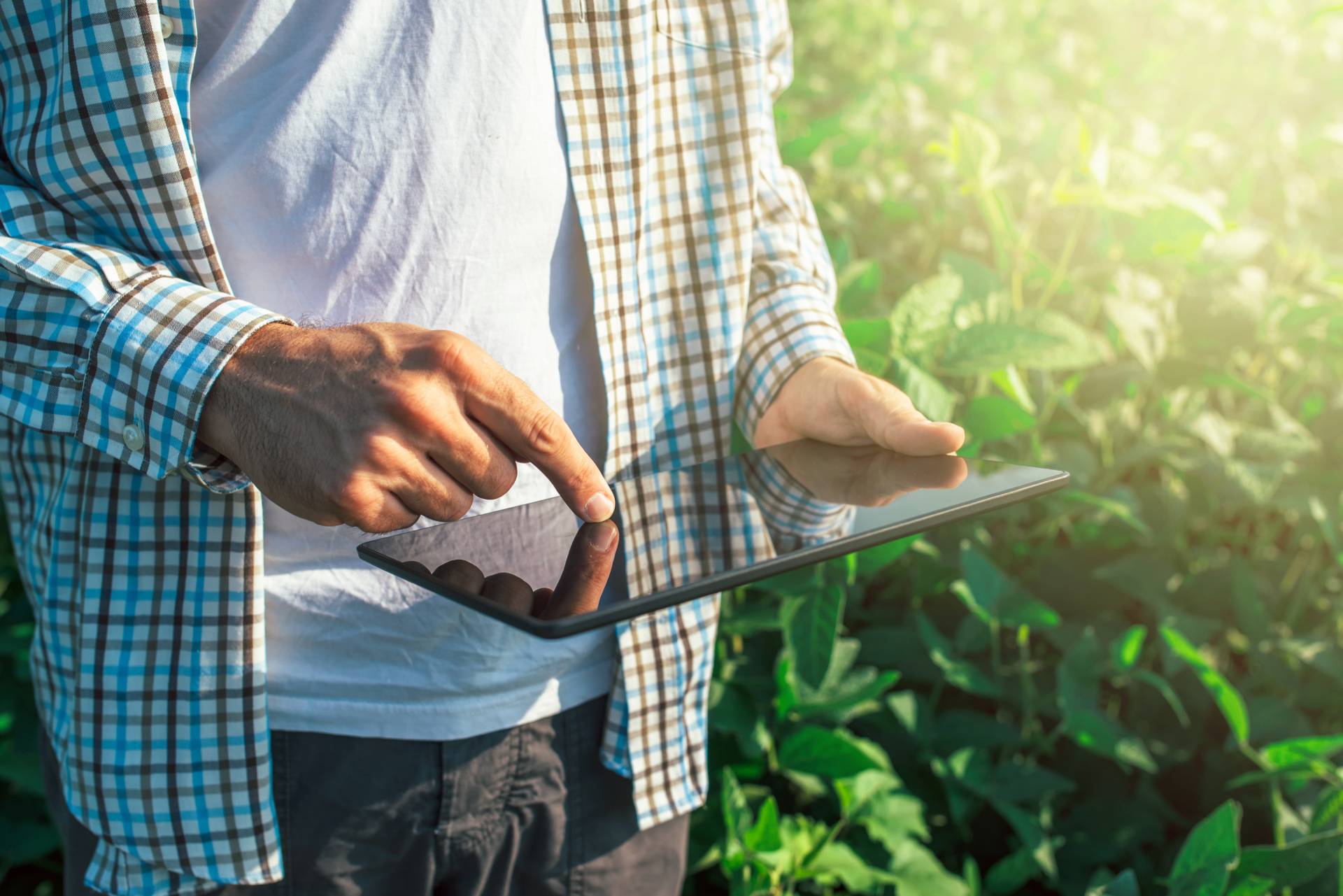 With you from farm to table: South Island Agricultural Field Days