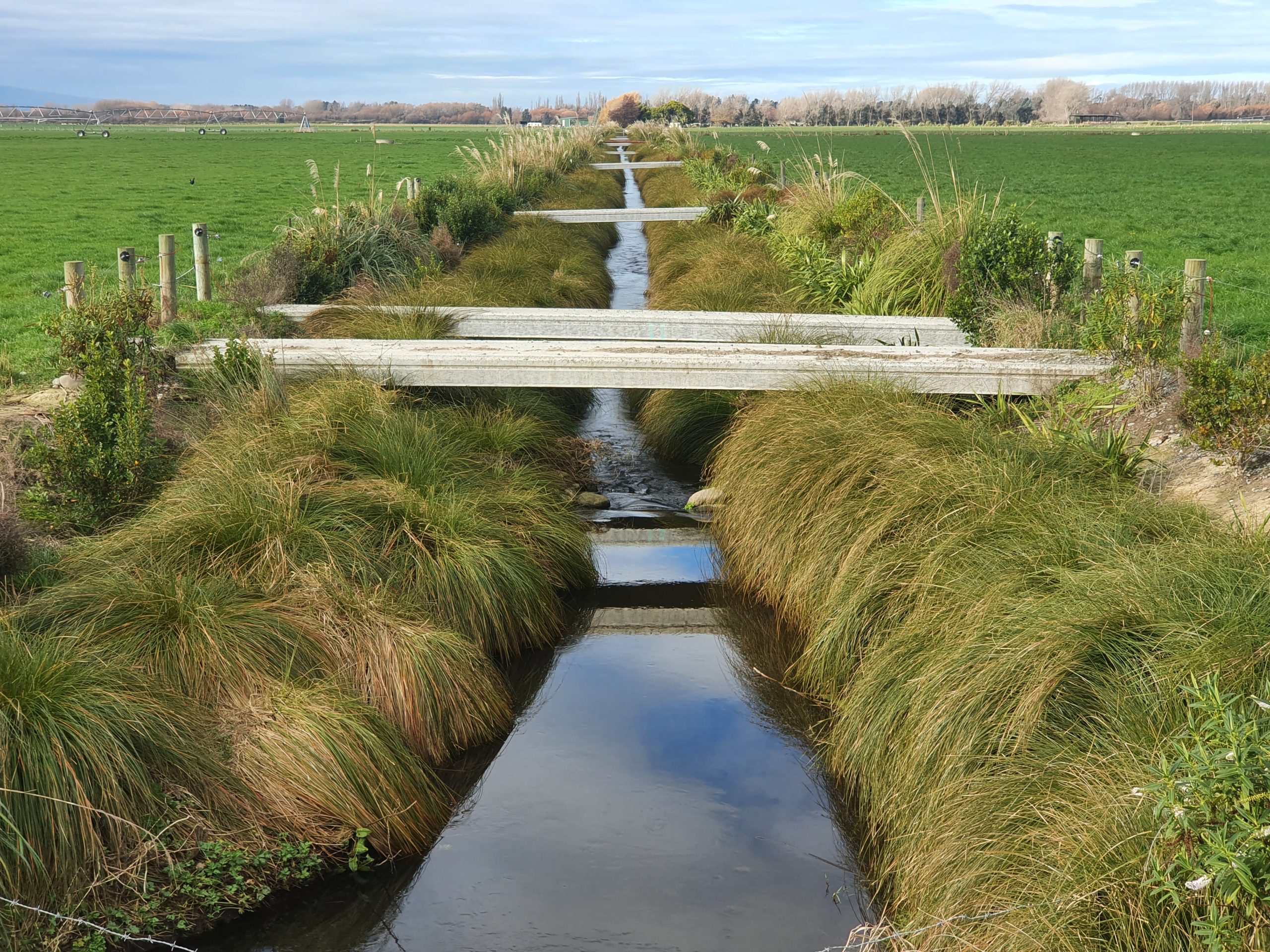 Client Feature: The Water & Wildlife Habitat Trust